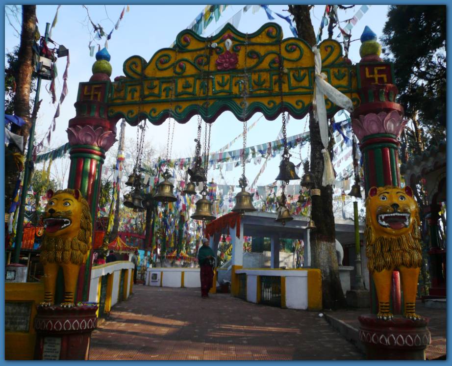 900x723 pixels (116K)